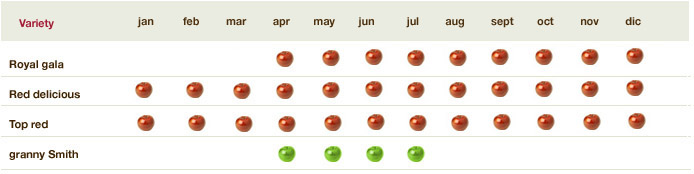 calendario