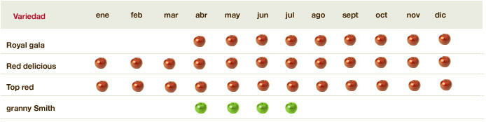 calendario